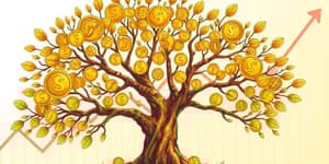 Reinvest dividends to compound wealth