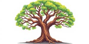 The Power of Patience: Long-Term Growth Strategies